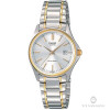 Casio Collection LTP-1183G-7A