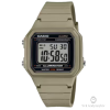 Casio SPORTS W-217H-5A
