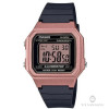 Casio SPORTS W-217HM-5A