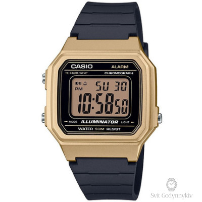 Casio SPORTS W-217HM-9A