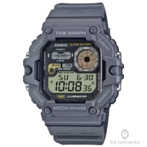 WS-1700H-8A