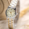 Casio Collection LTP-V001SG-9B