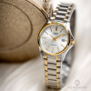 Casio Collection LTP-1183G-7A