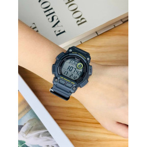 WS-2100H-8A