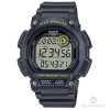 Casio SPORTS WS-2100H-8A