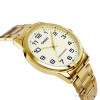 Casio Collection MTP-V001G-9B