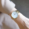 Casio Collection LTP-VT01G-7B