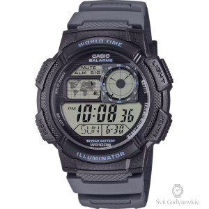 AE-1000W-8A