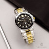 Casio Collection MTP-VD300SG-1E