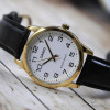 Casio Collection MTP-V001GL-7B