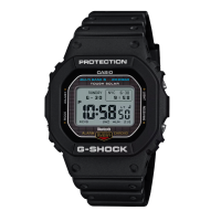 GW-BX5600-1D