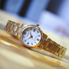 Casio Collection LTP-V002G-7B