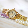 Casio Collection LTP-V006G-9B
