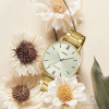 Casio Collection LTP-VT01G-9B