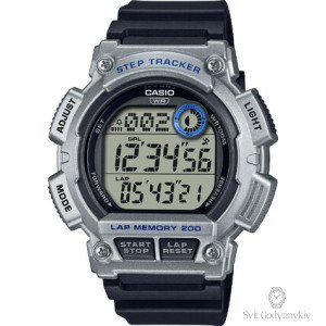 WS-2100H-1A2
