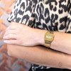 Casio VINTAGE A700WEVG-9A