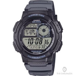 AE-1000W-8A