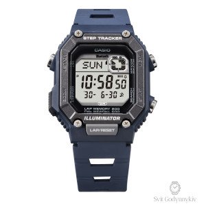WS-B1000-2A
